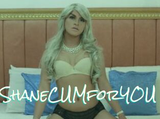 01ShaneCUMforYOU