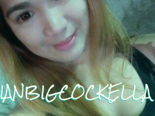 ASIANBIGCOCKELLA