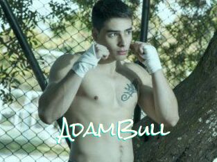 AdamBull