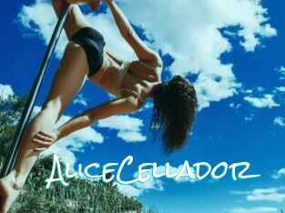 AliceCellador
