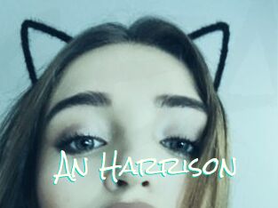 An_Harrison