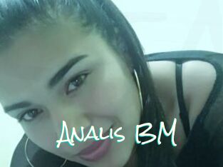 Analis_BM