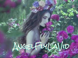 AngelFlyLaVid