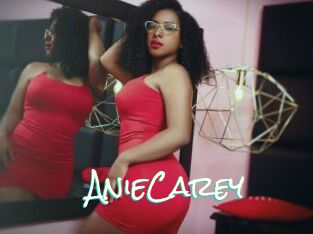 AnieCarey