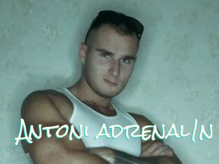 Antoni_adrenal1n