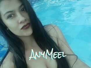 AnyMeel