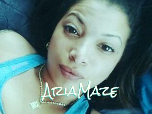 Aria_Maze