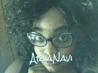 AriaNavi