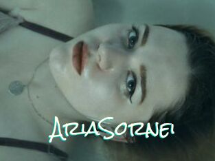 AriaSornei