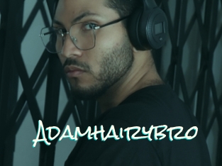 Adamhairybro