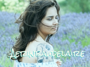 Aerinbaudelaire