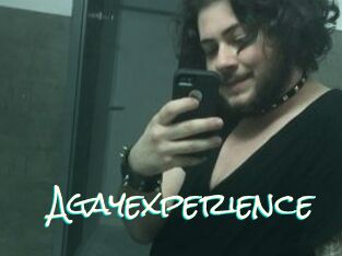 Agayexperience