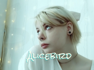 Alicebird