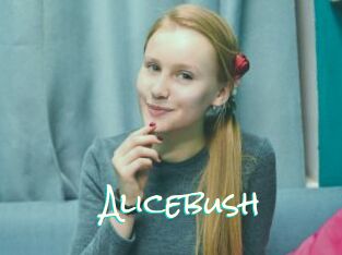 Alicebush