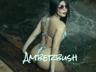 Amberbush