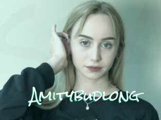 Amitybudlong