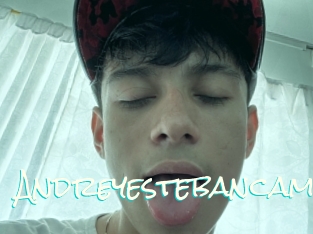 Andreyestebancam