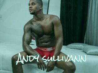 Andy_sullivann