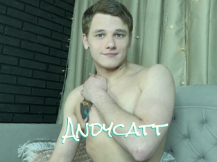 Andycatt