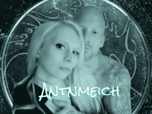 Antnmeich