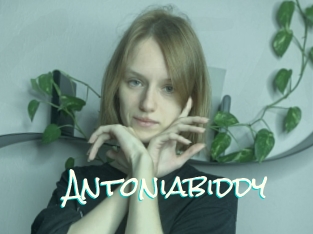 Antoniabiddy