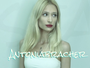 Antoniabracher