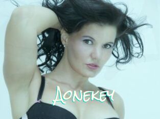 Aonekey