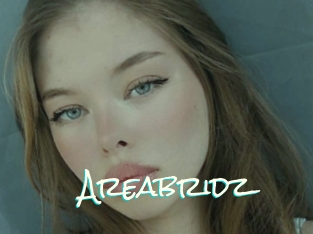 Areabridz