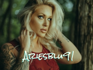 Ariesblu91