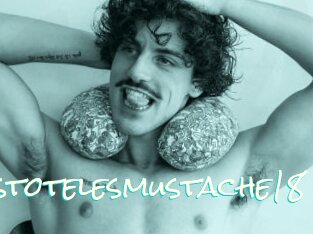 Aristotelesmustache18