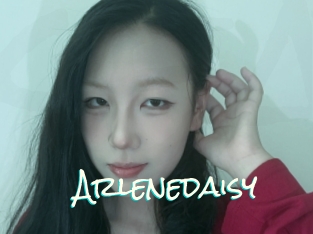 Arlenedaisy