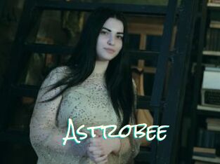 Astrobee