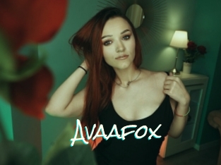 Avaafox