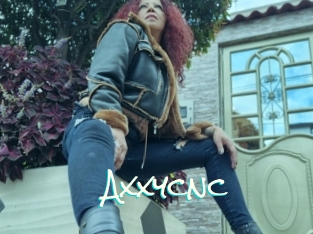 Axxycnc