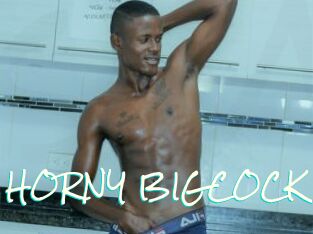 BOY_HORNY_BIGCOCK