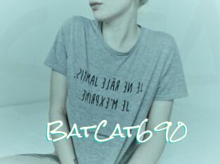 BatCat690