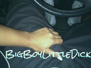 BigBoyLittleDick