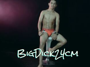 BigDick24cm