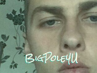BigPole4U