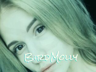 BirdMolly