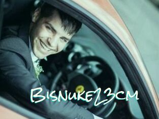 Bisnuke23cm