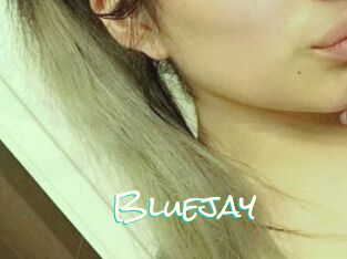 Blue_jay