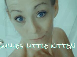 Bullies_little_kitten