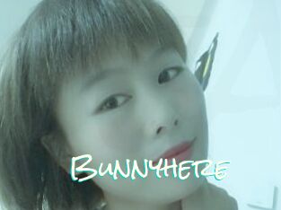 Bunnyhere