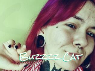 Buzzzz_Cat