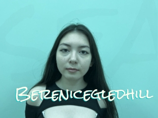 Berenicegledhill