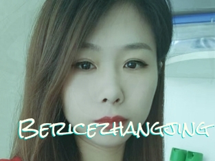 Bericezhangjing