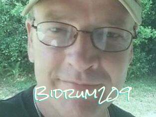 Bidrum209