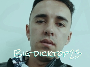 Big_dicktop23