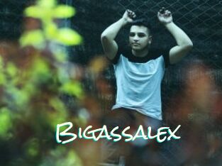 Bigassalex